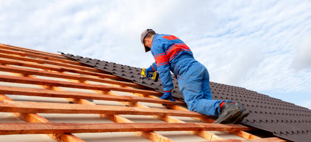 Best Roof Ventilation Installation  in Elberton, GA