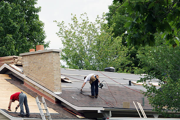 Best Roof Insulation Installation  in Elberton, GA